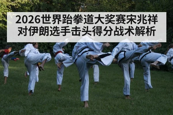 2026世界跆拳道大奖赛宋兆祥对伊朗选手击头得分战术解析（kaiyun）