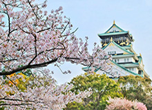 开云-【热身】雷鸟两球扎哈维破门 富力3比1梅州客家